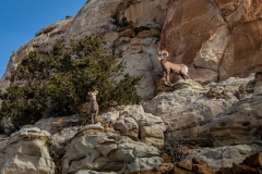 2021-01-08-Capitol-Reef-Day-1-009